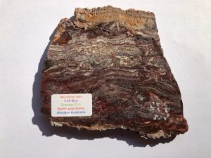 Minerals, Mars, and 3.48 Billion Year Old Australian Fossils