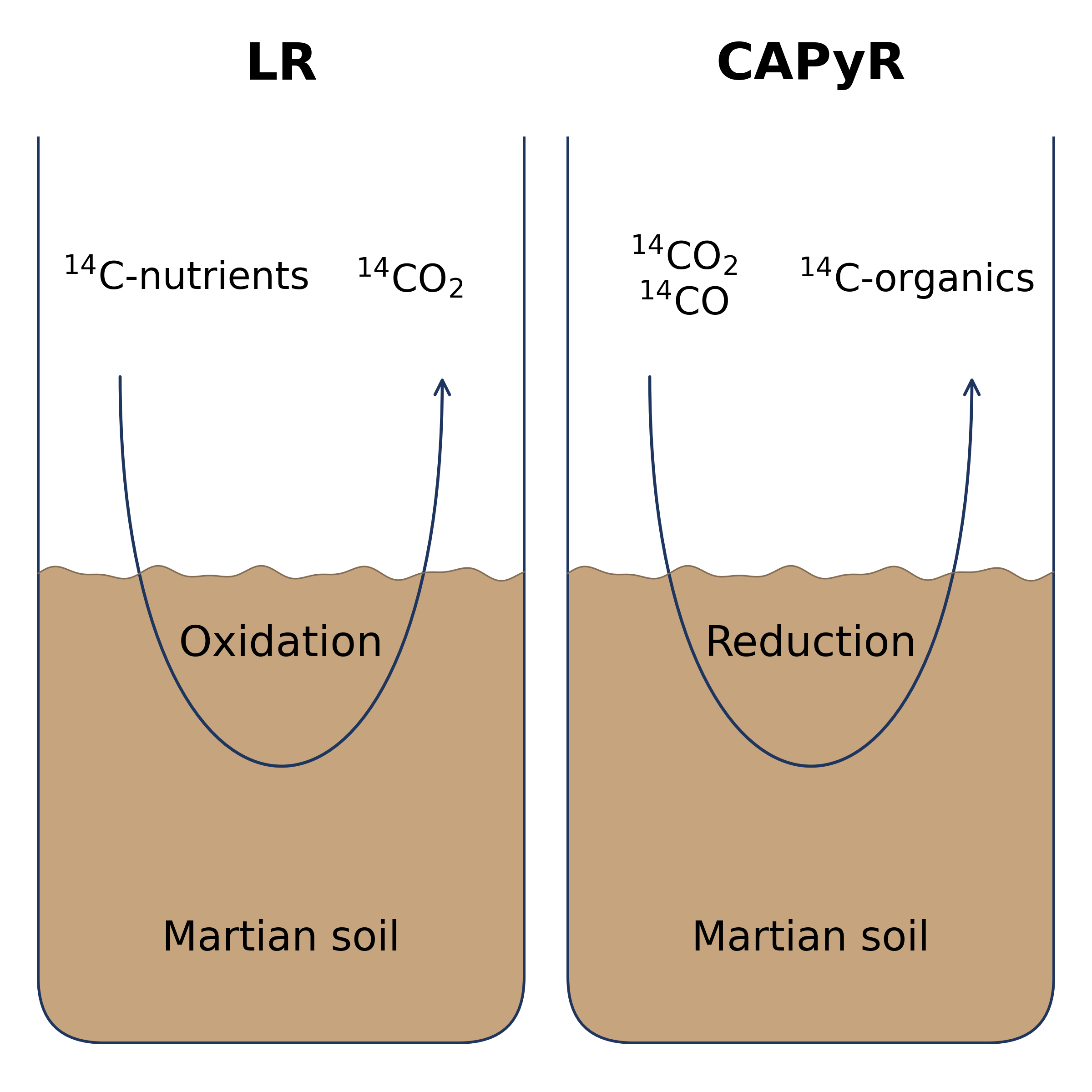 The case for extant life on Mars: A Technical Reanalysis of the Viking Carbon Assimilation–Pyrolytic Release Experiment