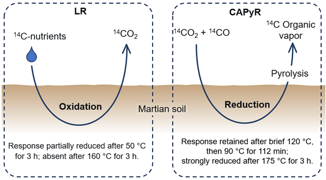 The case for extant life on Mars: A Technical Reanalysis of the Viking Carbon Assimilation–Pyrolytic Release Experiment